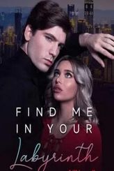 Find Me In Your Labyrinth pdf